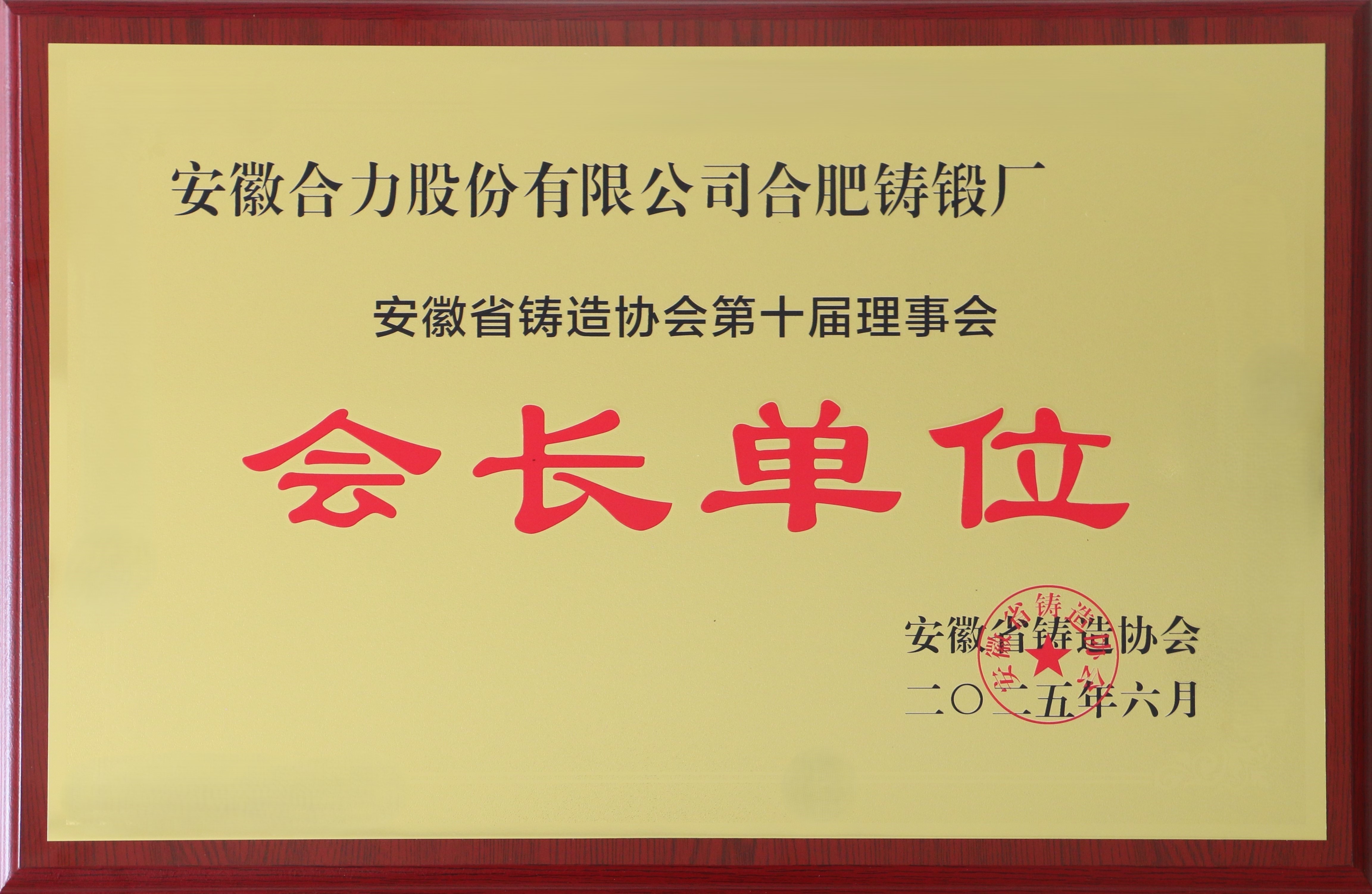 安徽省鑄造協(xié)會第十屆會長單位.jpg